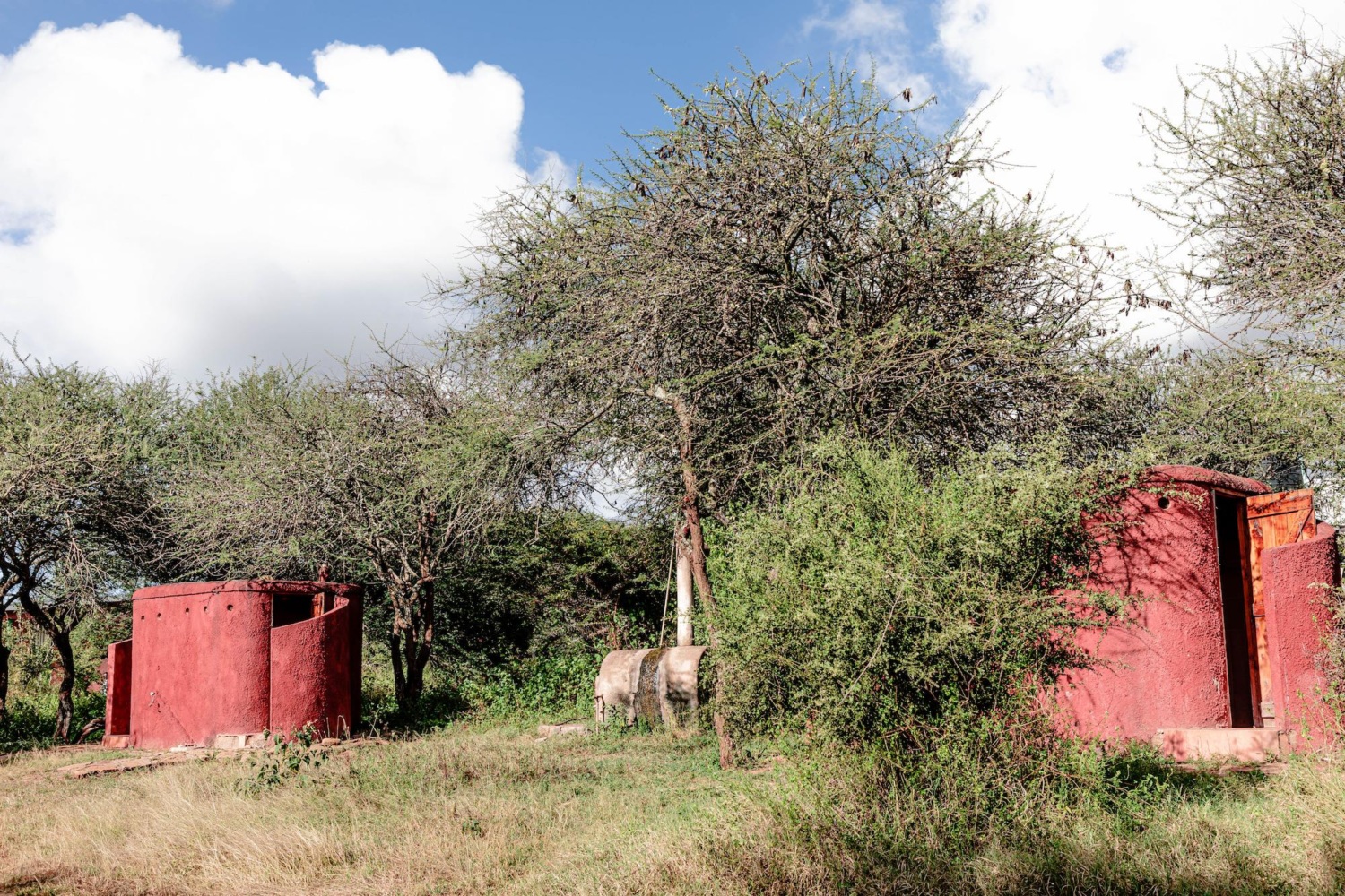 twala women 14 1 1500x1000