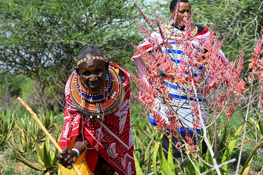 Twala Women Land Use Twala Women Land Use