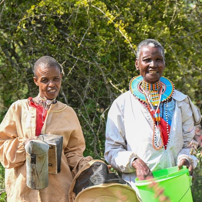 Twala Women Bee hive Farm