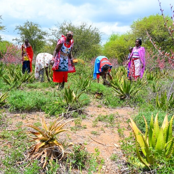 Naserian Twala Women Group